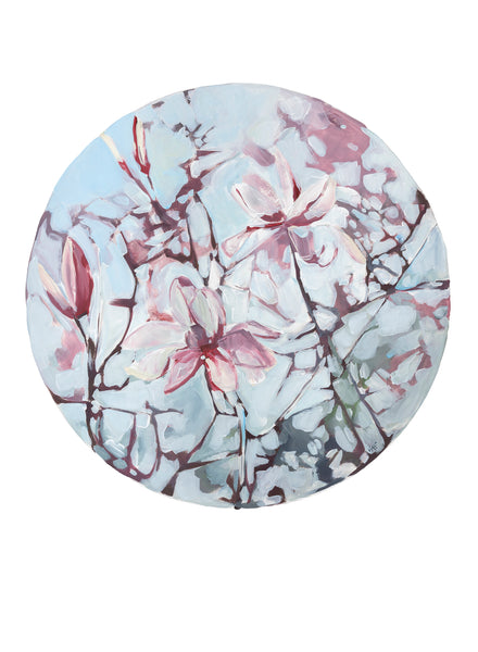Blooming Magnolia 2