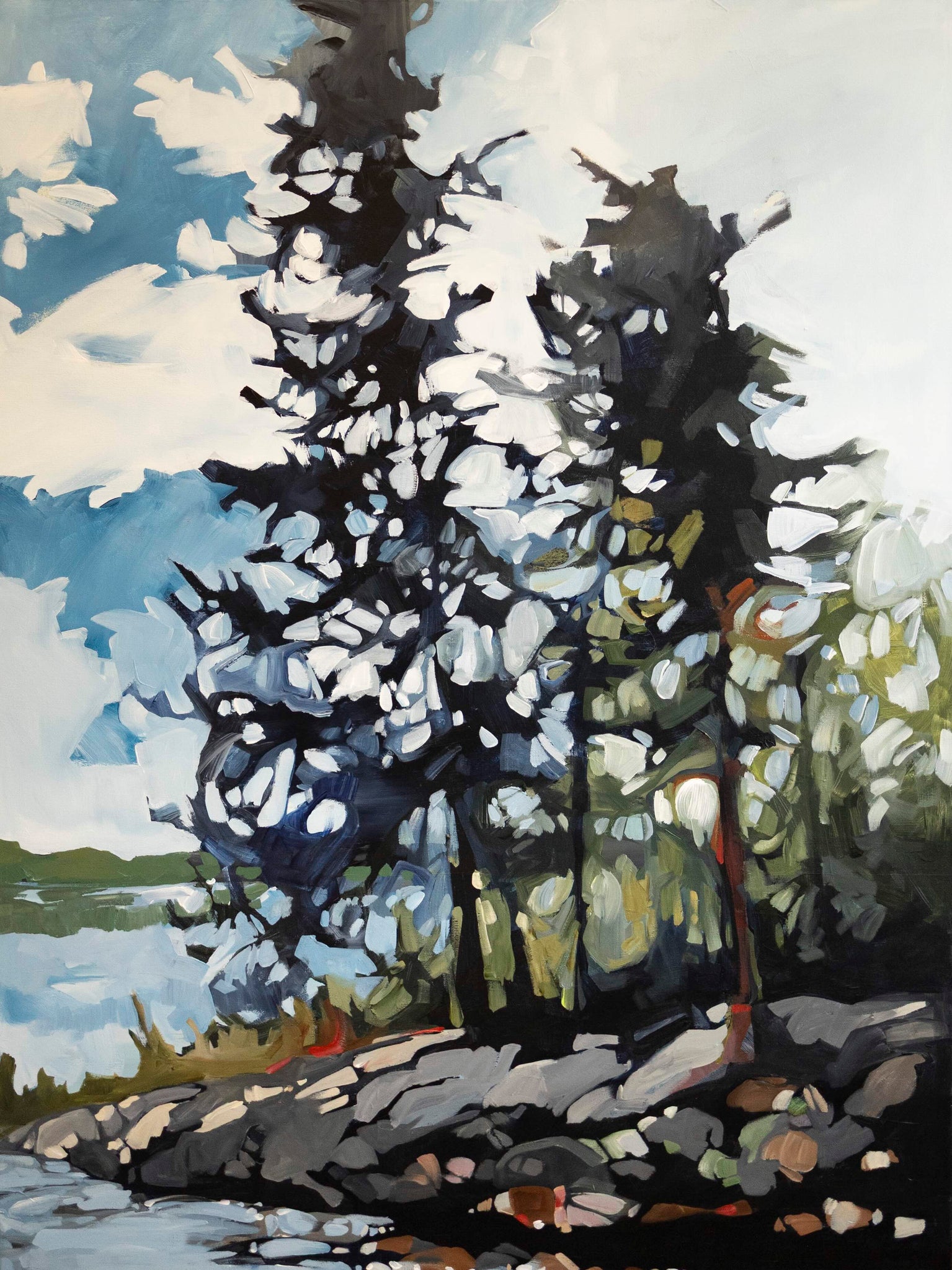 Julianna and the Medicine Fish