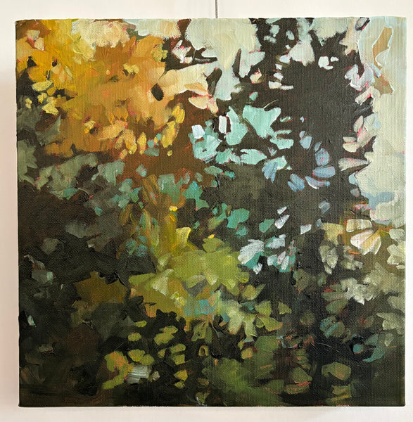 Shifting Colour