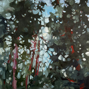 Opening the Curtain 1