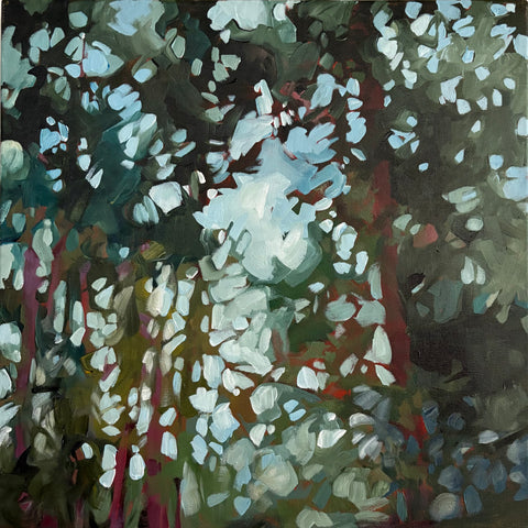 Opening the Curtain 2